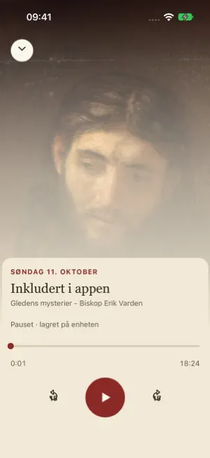 Katolsk bønn screenshot 4