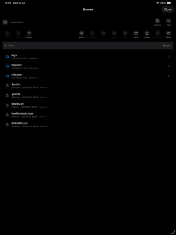 SSHELL Terminal ipad screenshot 3