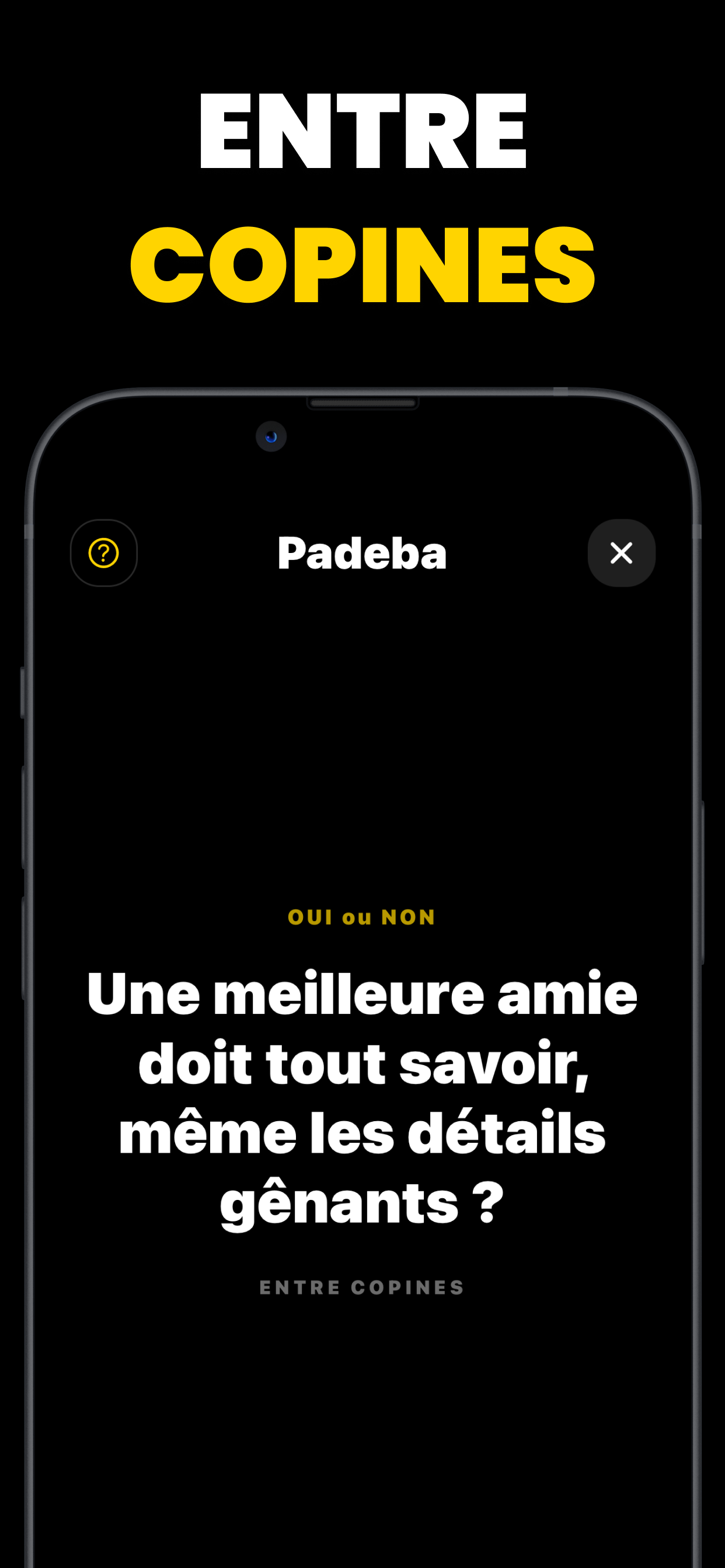Padeba screenshot 3