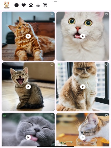 TalkyCat – Talk to Your Cat iPad screenshot