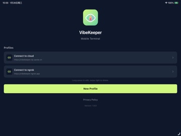 VibeKeeper - Keep coding vibes ipad screenshot 4