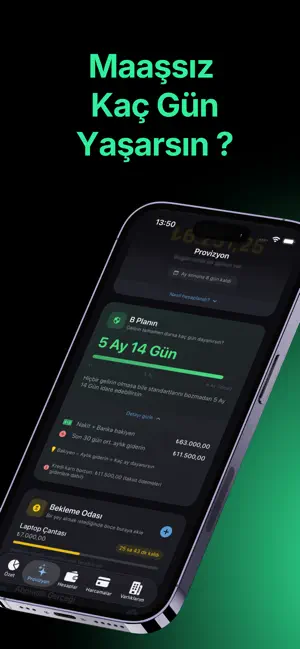 Provizyon: Bütçe ve Varlık screenshot 1
