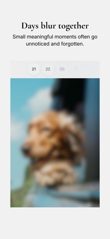 Notio – Daily Life Check-In screenshot