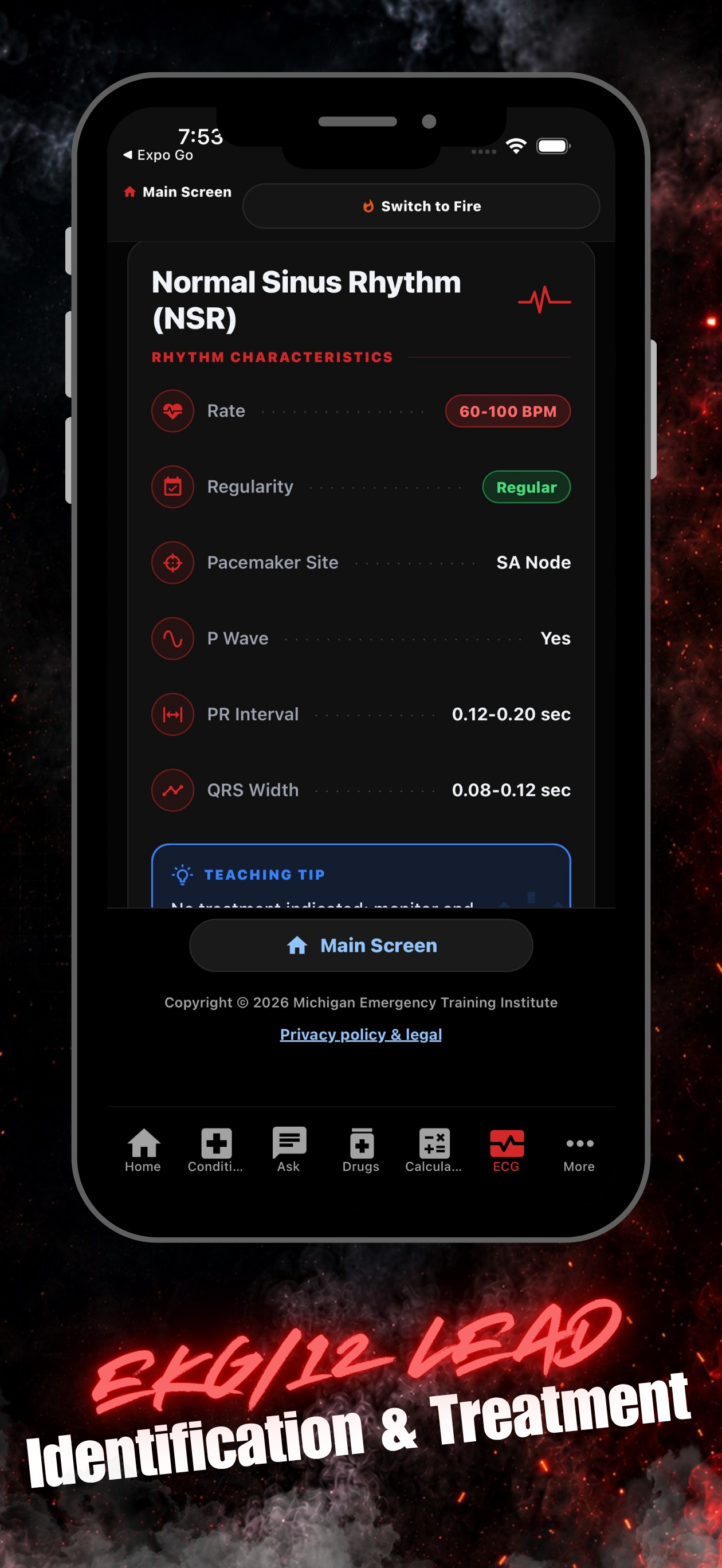 Act with METI screenshot 9