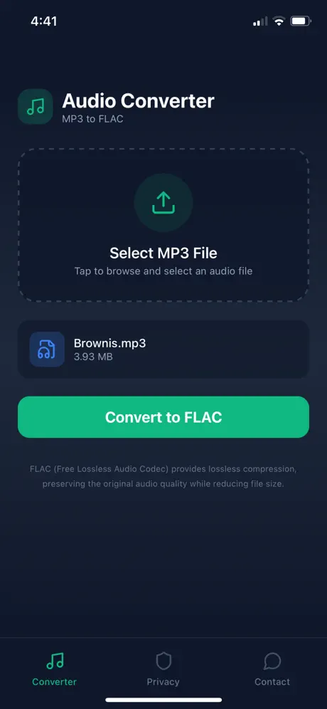 Appen MP3 to FLAC Converter screenshot 2
