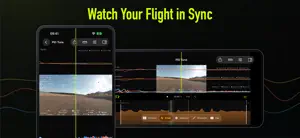 Airframe Blackbox Analyzer screenshot 3