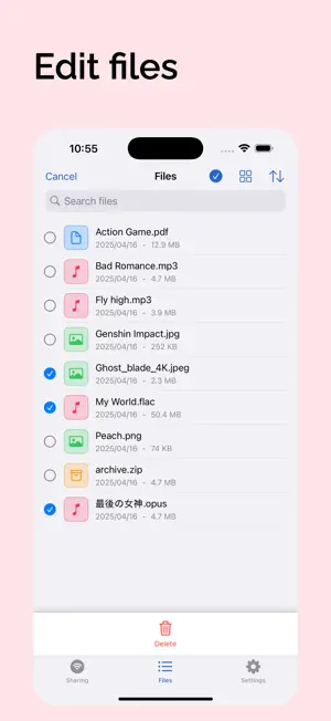MobileDisk screenshot 4