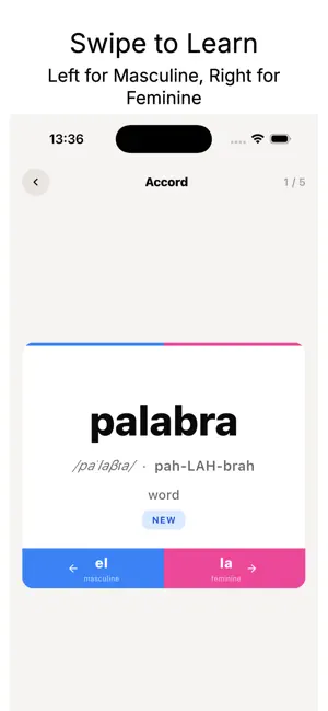 Accord - Learn Noun Genders screenshot 2