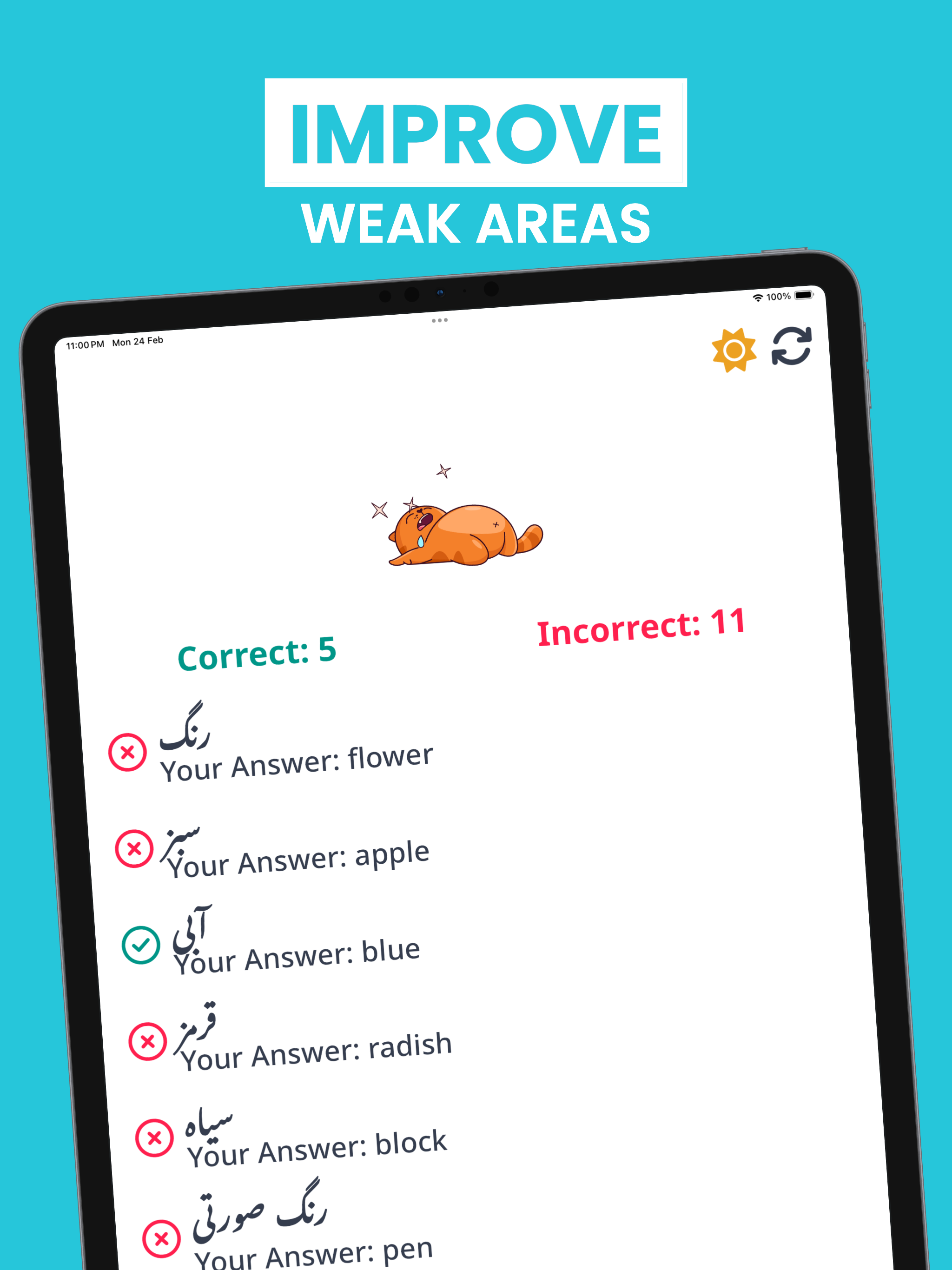 Learn Persian Language Phrases