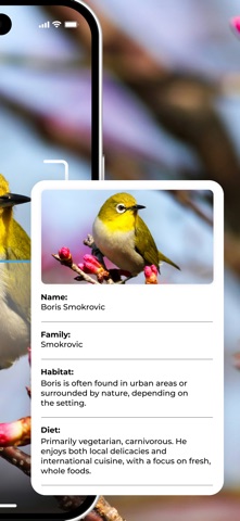 Bird Identifier AI Screenshot 2 of 4
