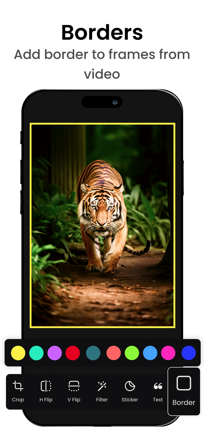 Video To Image Maker  Gif