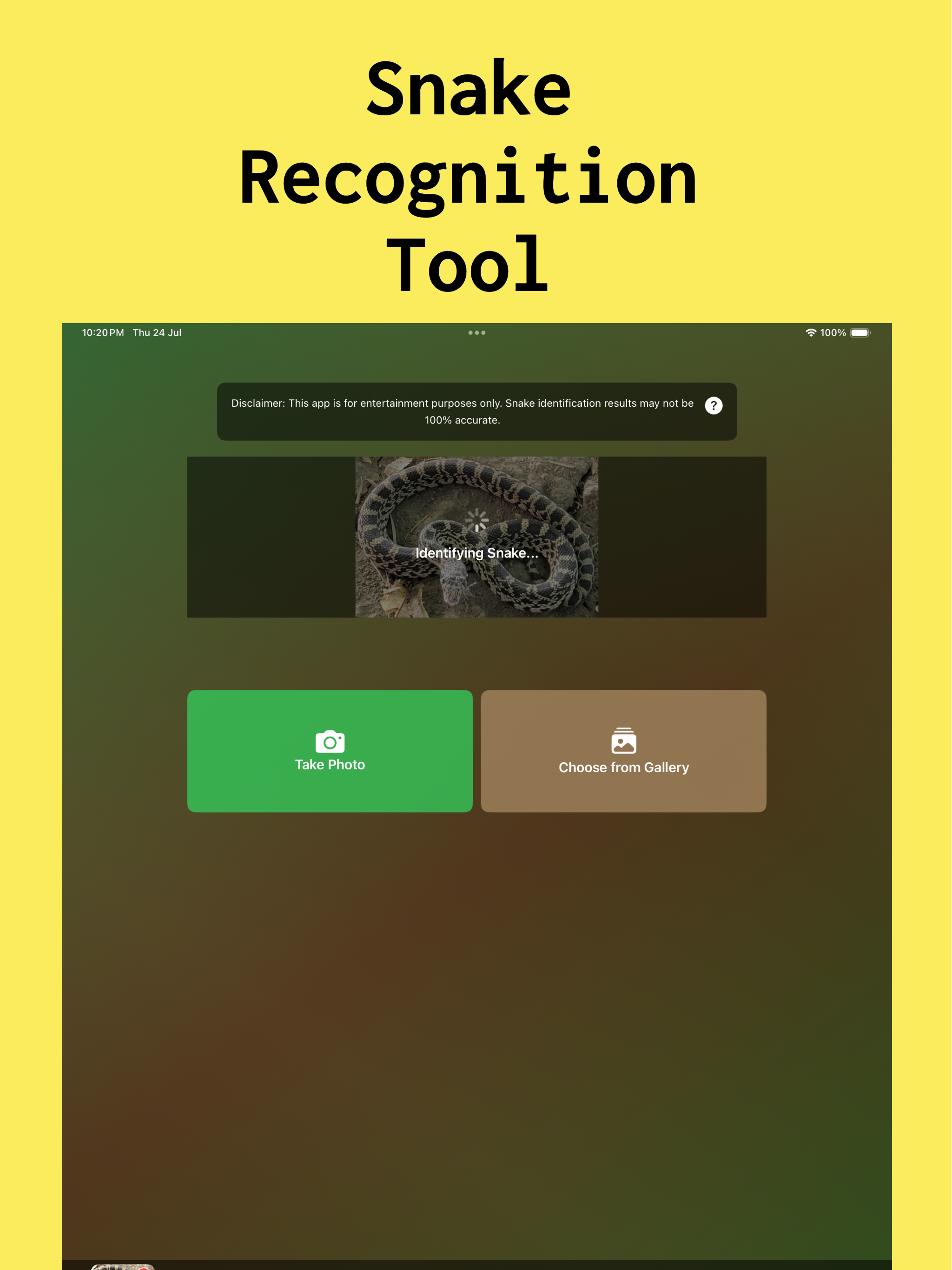 Snake Identifier : SnakeID App