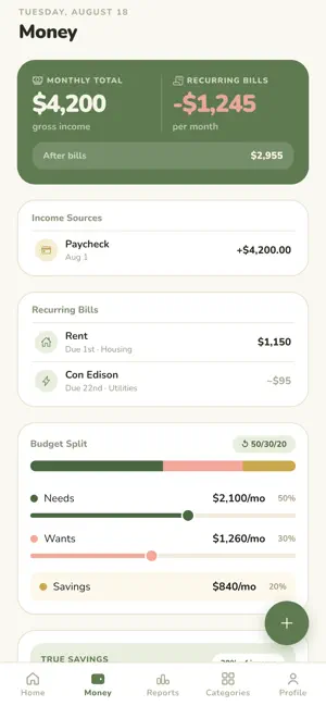Amor Budget screenshot 2