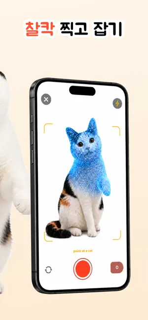 Cat Collector: 진짜 고양이 iPhone screenshot 2