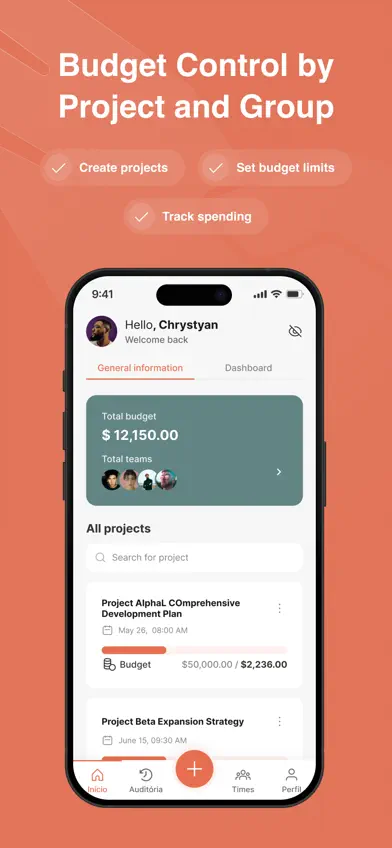 Budget by OVAAP screenshot 3
