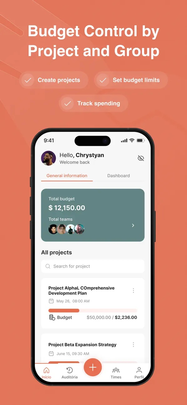 Screenshot #3 pour Budget by iOMESoft
