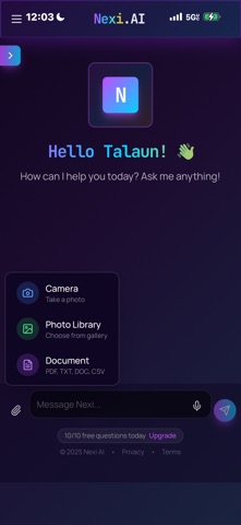 Nexi AI screenshot