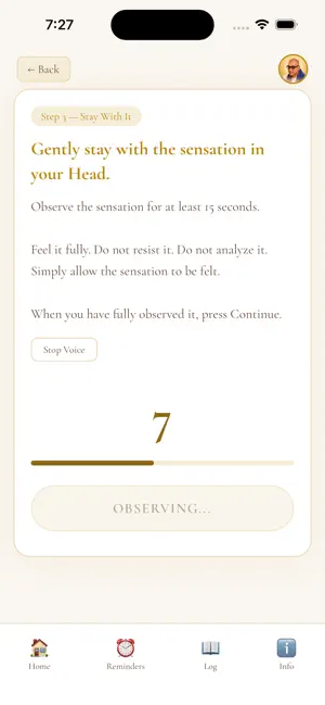 Advaita 222 Self Inquiry screenshot 4