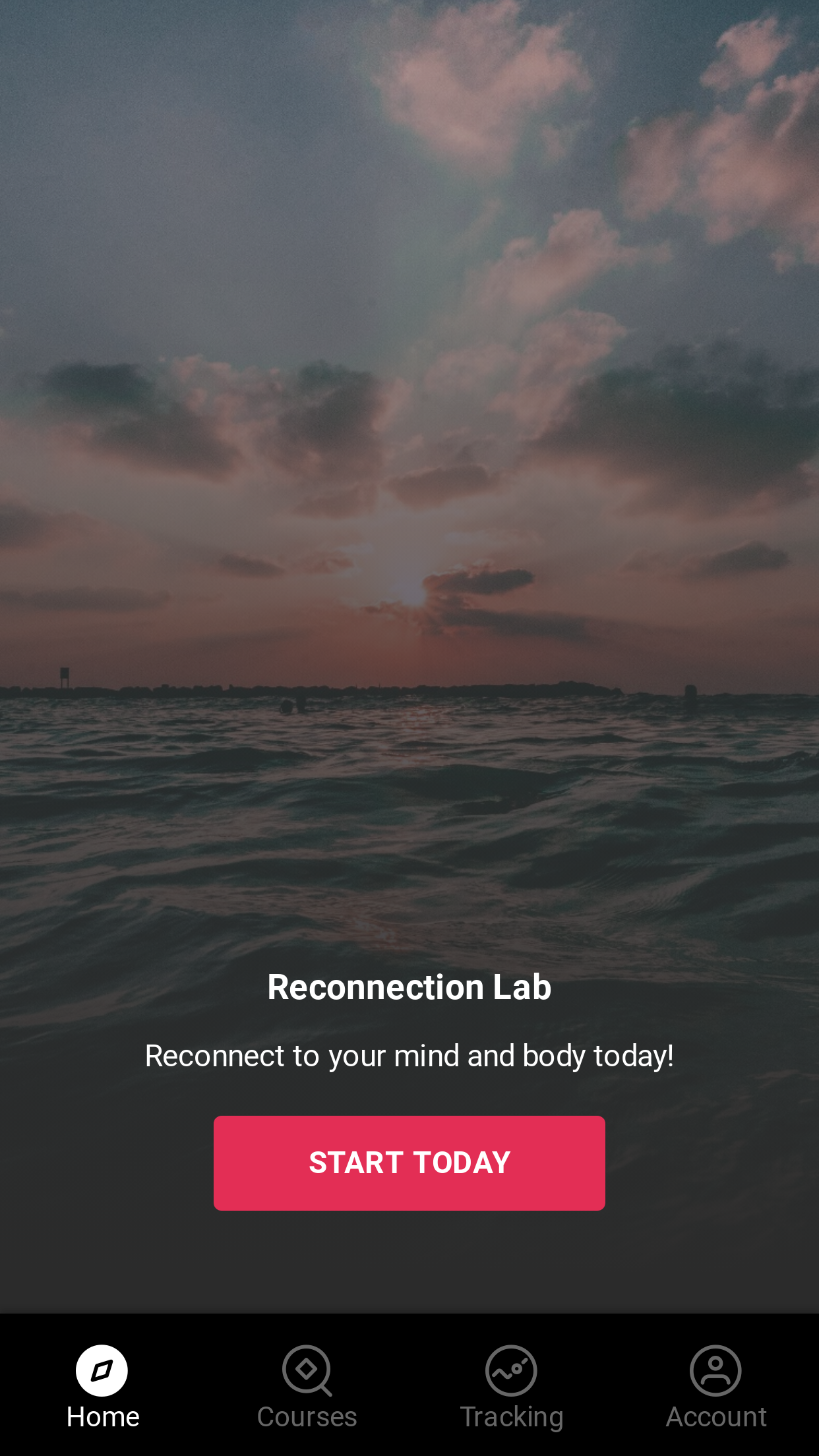 Reconnection Lab