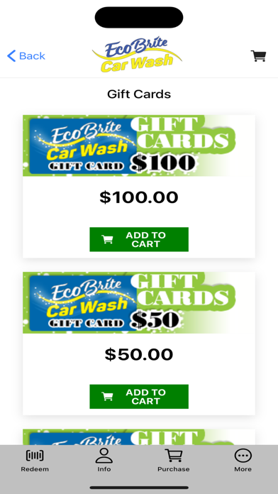 Eco Brite Car Wash Screenshot