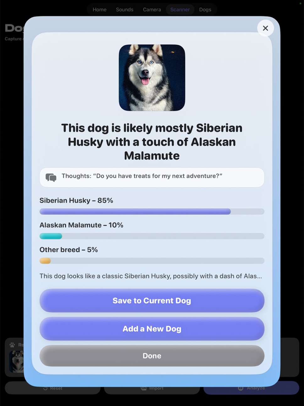 iPad screenshot