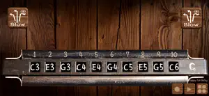 Harmonica Real Pro screenshot 2