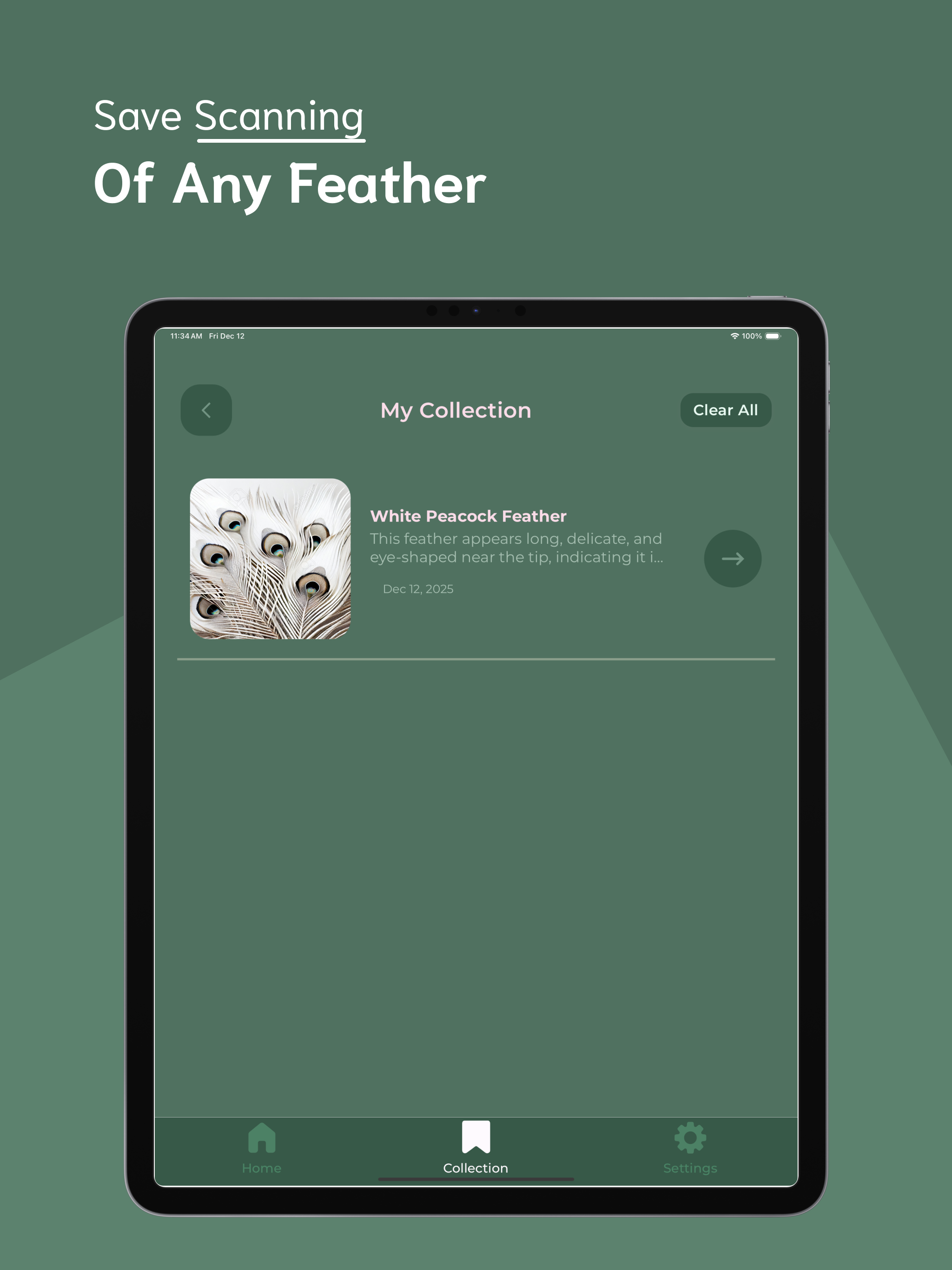 Feather Identifier - FI