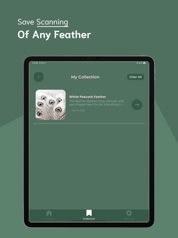 Feather Identifier - FI iPad screenshot