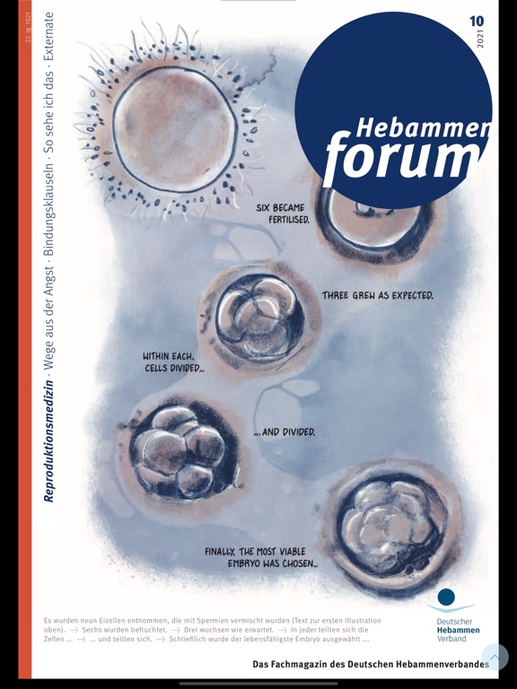 Screenshot #5 pour Hebammenforum