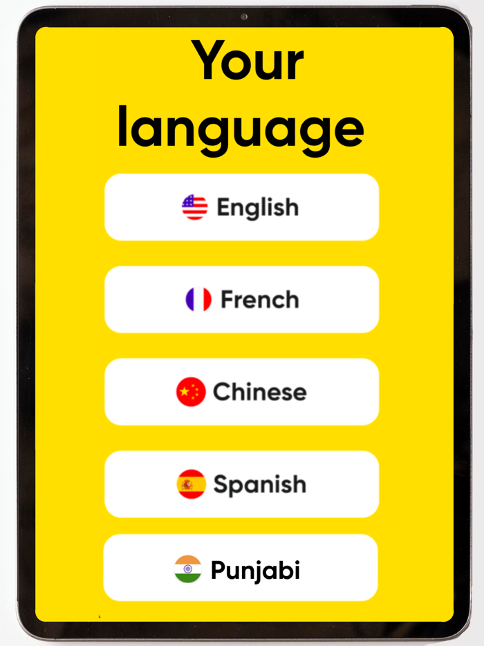 NY Permit Practice Test 2025