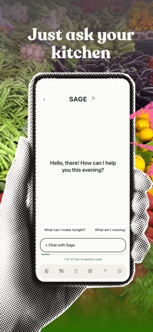 Sage Grocery Receipt Tracker Screenshot 1 of 5