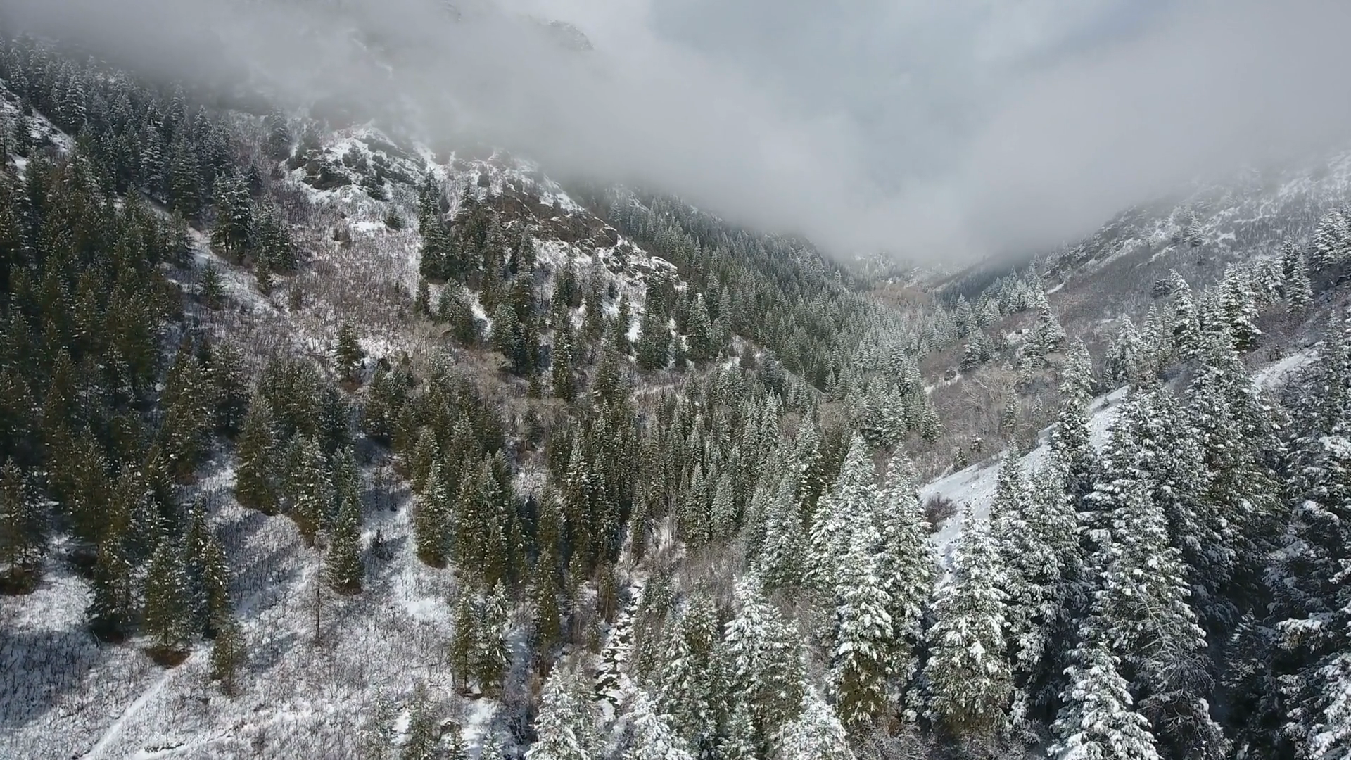 Relaxing Snow Screensaver screenshot 3