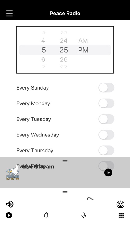 WLSI Peace Radio screenshot-4