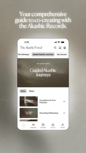 The Akashic Portal screenshot 3