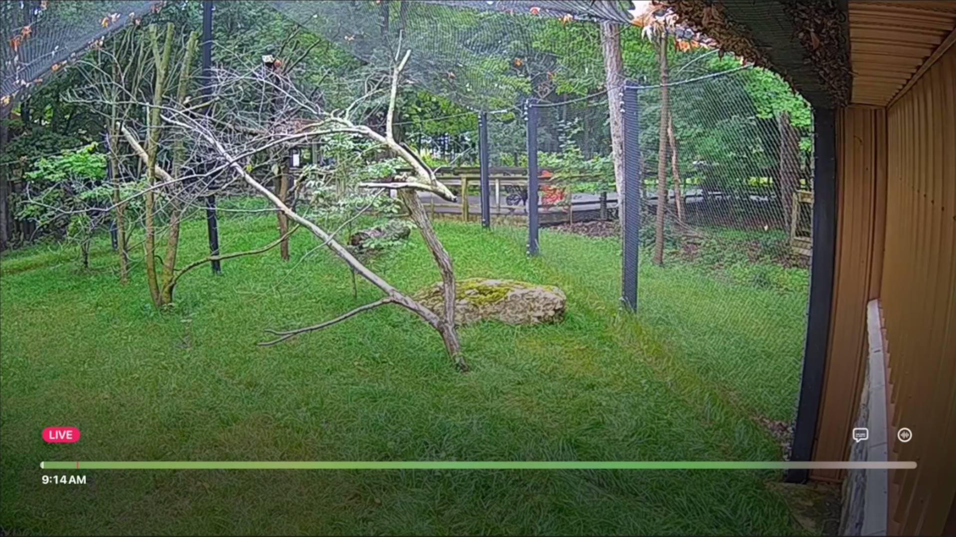 WMTA Camera Network screenshot 3