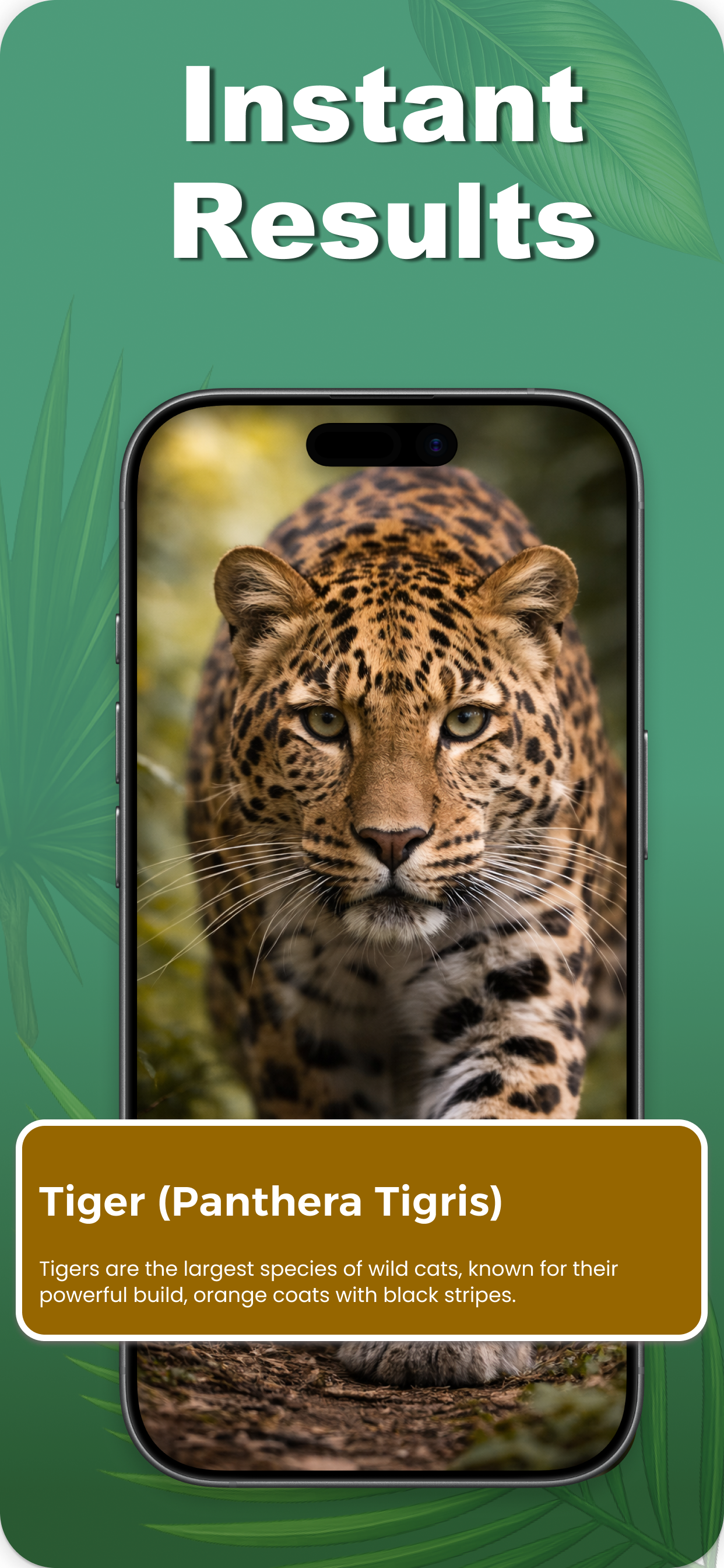 Animal Identifier + Scanner screenshot 3