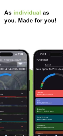 Pure Budget Screenshot 2 of 10