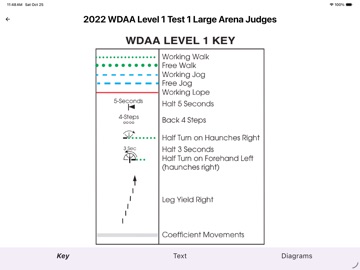 2022 WDAA Judges Diagrams iPad screenshot