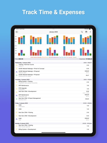 Cube: Freelance Expense Pro iPad screenshot