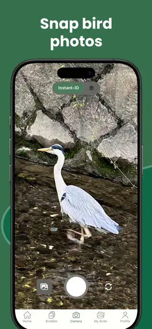 BirdDex: Identify & Collect screenshot 1