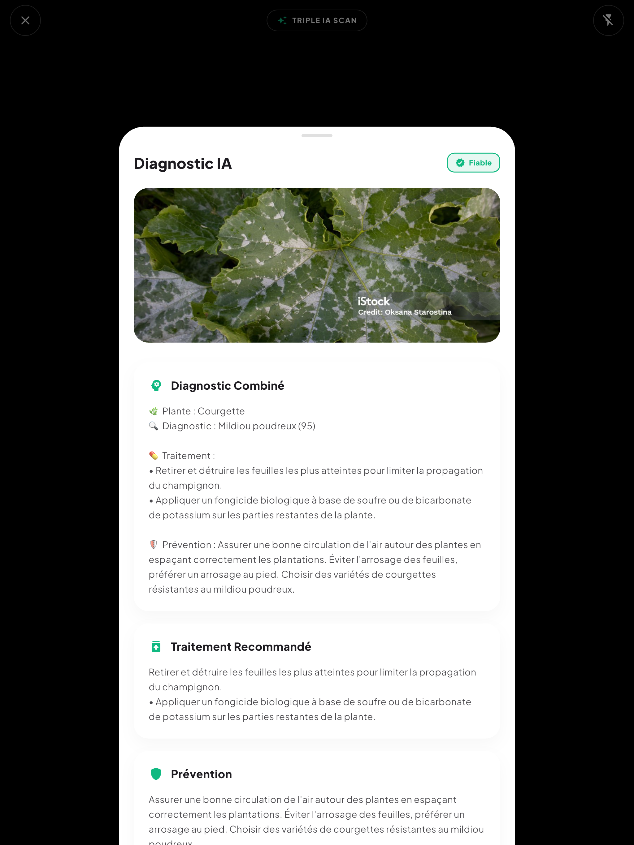 Plantixia