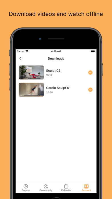 Haia Screenshot
