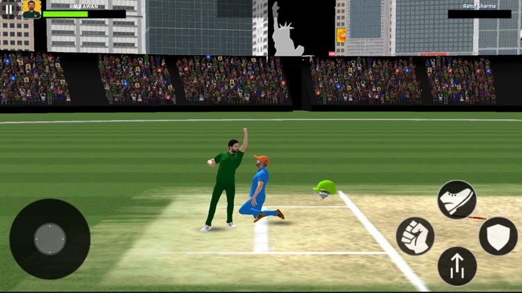 Cricket Pitch Fighting Game