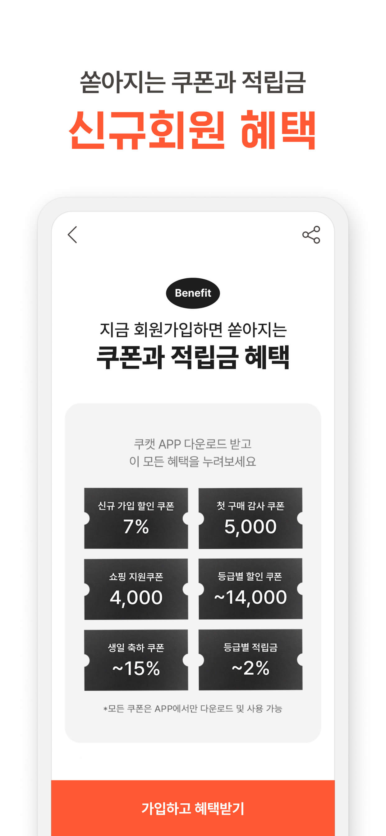 쿠캣