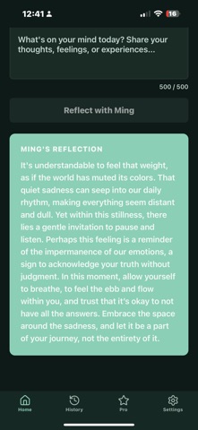 Ming: Reflection Journal Screenshot 3 of 5
