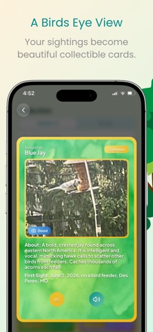 birdr: Bird Identifier AI Screenshot 2 of 6