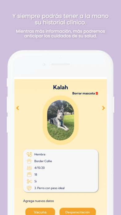 Wuufy iPhone screenshot 6 - Lifestyle app