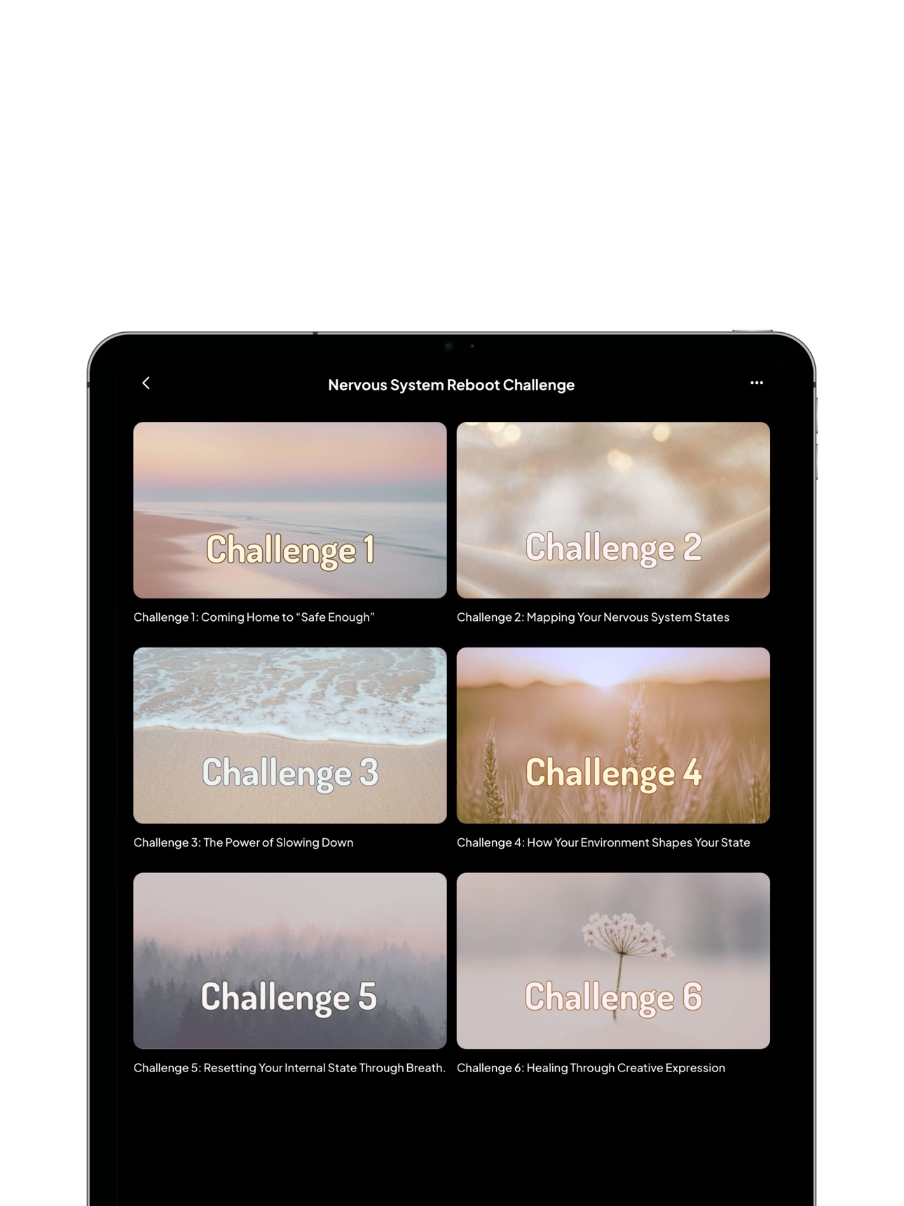 Screenshot 6 of HeartMind Professional