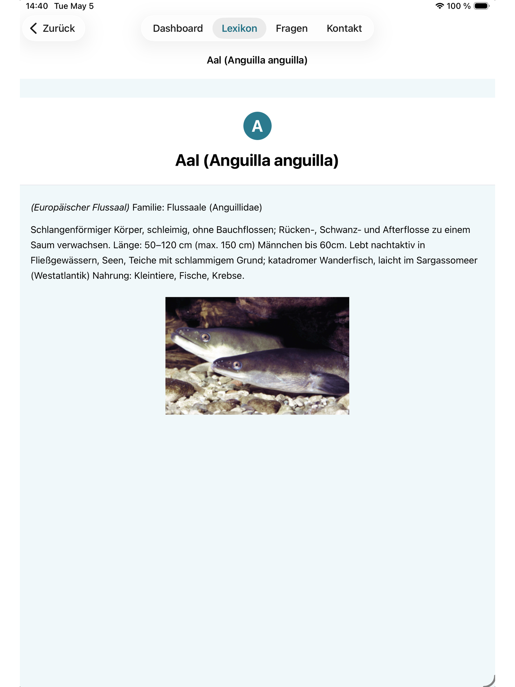 Fischtrainer