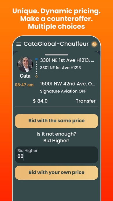Cata Global Chauffeur Screenshot